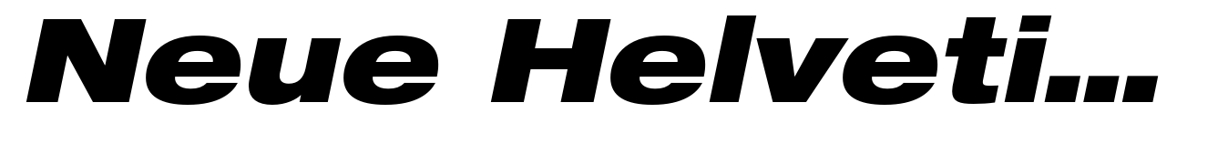 Neue Helvetica 93 Extended Black Oblique